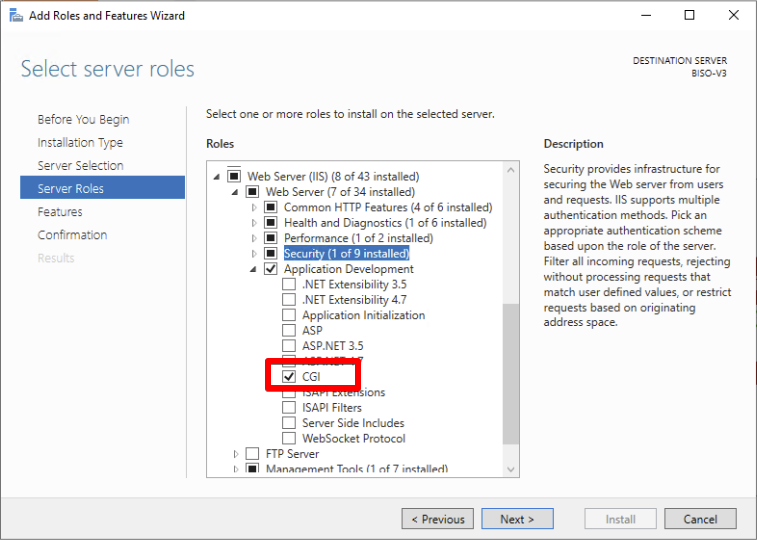 Windows IIS Role CGI